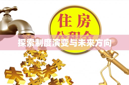罗东探索制度演变与未来方向