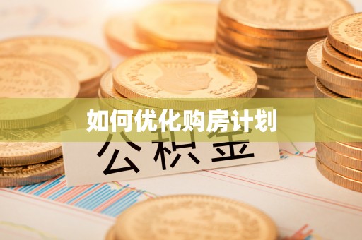 罗东如何优化购房计划