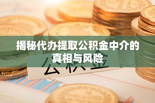 罗东揭秘代办提取公积金中介的真相与风险