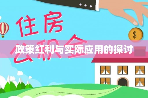 罗东政策红利与实际应用的探讨