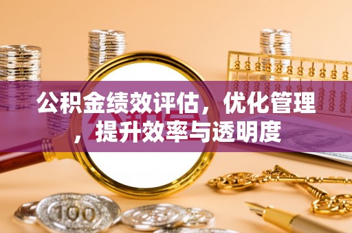 罗东公积金绩效评估，优化管理，提升效率与透明度