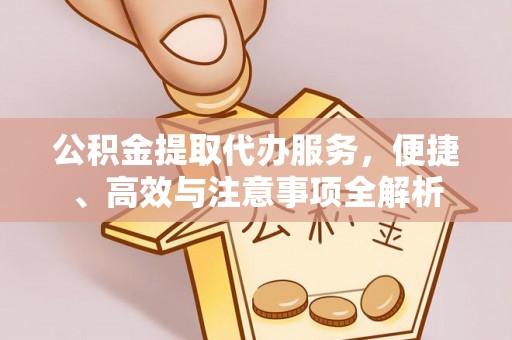 罗东公积金提取代办服务，便捷、高效与注意事项全解析