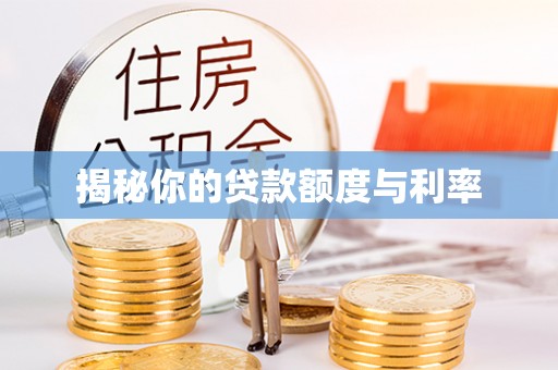 罗东揭秘你的贷款额度与利率