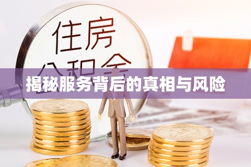 罗东揭秘服务背后的真相与风险