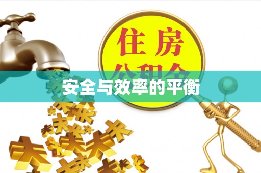 罗东安全与效率的平衡