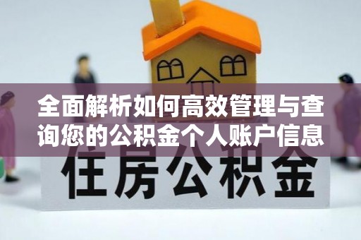 罗东全面解析如何高效管理与查询您的公积金个人账户信息