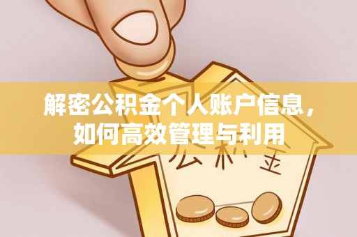罗东解密公积金个人账户信息，如何高效管理与利用