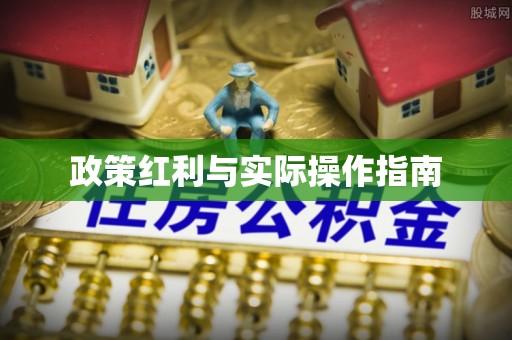 罗东政策红利与实际操作指南