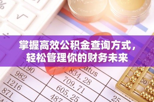 罗东掌握高效公积金查询方式，轻松管理你的财务未来