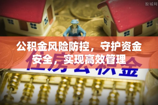 罗东公积金风险防控，守护资金安全，实现高效管理