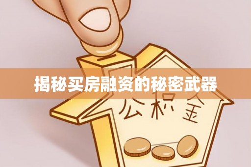 罗东揭秘买房融资的秘密武器