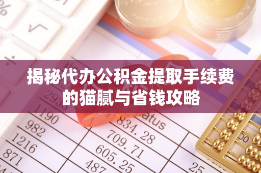 罗东揭秘代办公积金提取手续费的猫腻与省钱攻略