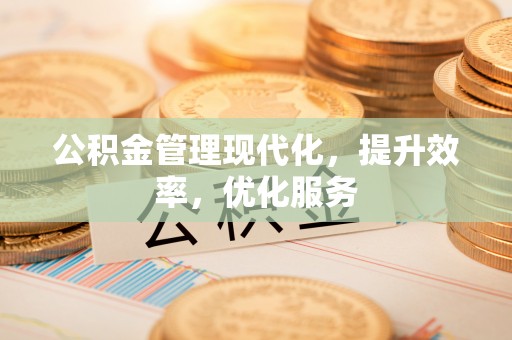 罗东公积金管理现代化，提升效率，优化服务