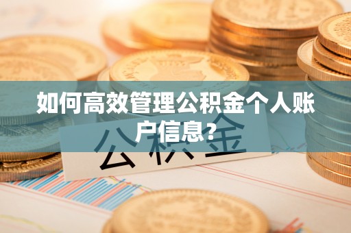 罗东如何高效管理公积金个人账户信息？